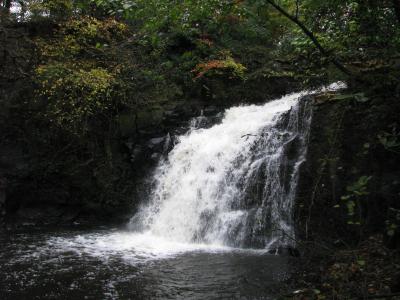 image-8